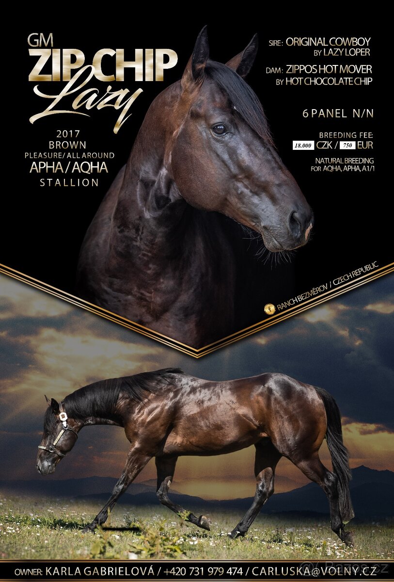 Připouštění QH hřebci 7panel N/N - 4