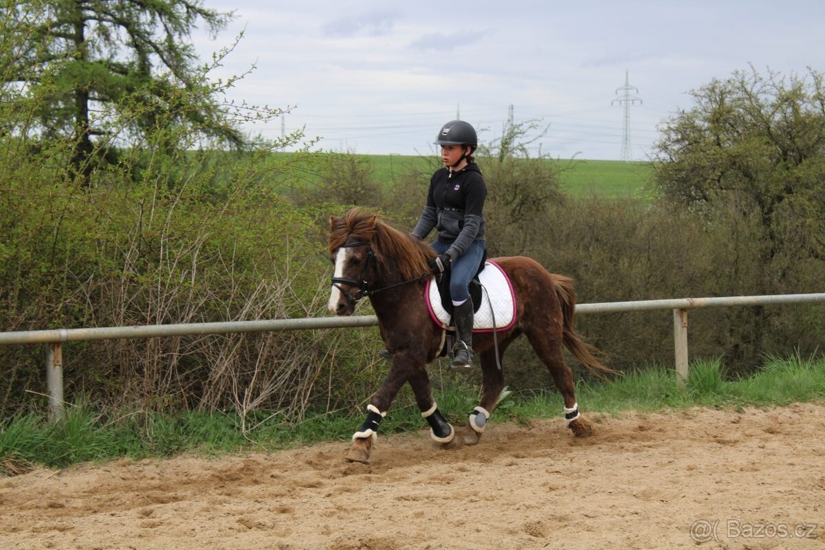 Hodný Pony valach - 4