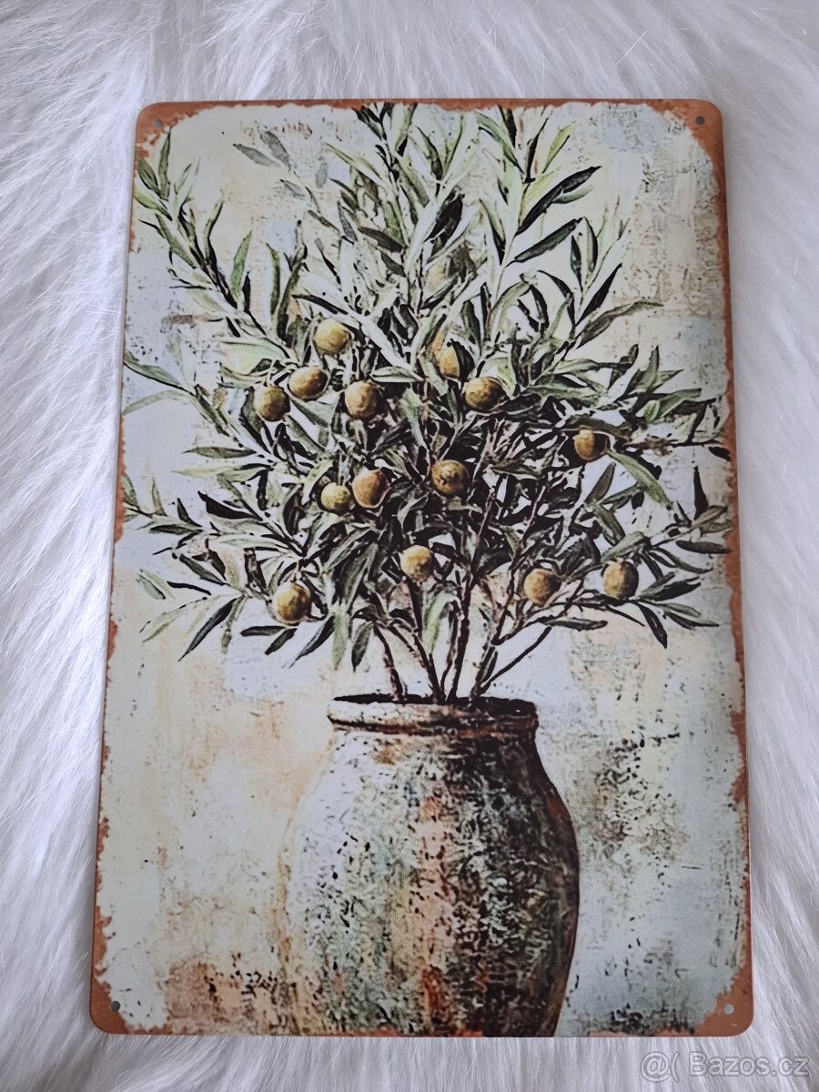Plechová cedule olivovník - 4