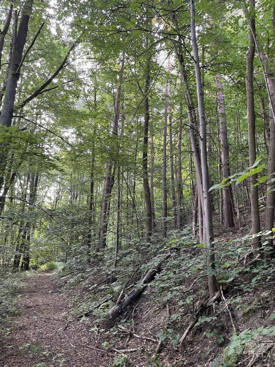 Prodám pozemky v k.ú. Útěchov u Moravské Třebové - 4