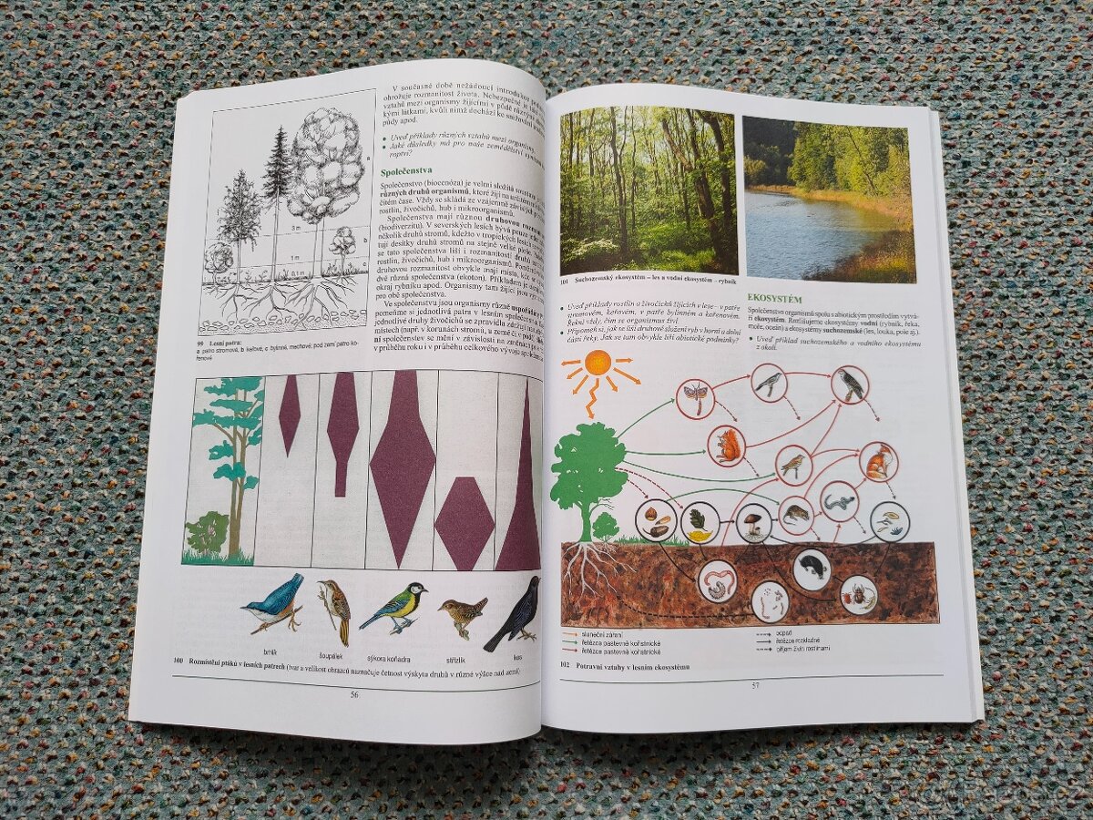 Základy biologie a ekologie - 4