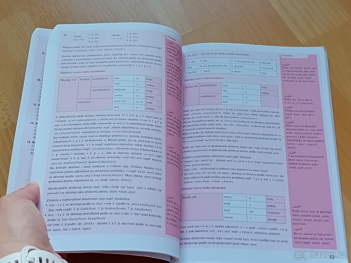 Odmaturuj z českého jazyka - Didaktis - 4