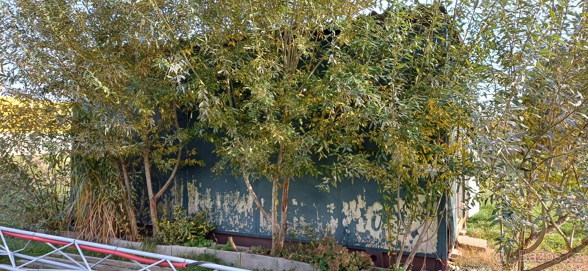 Stavební buňka 3x6m - 4