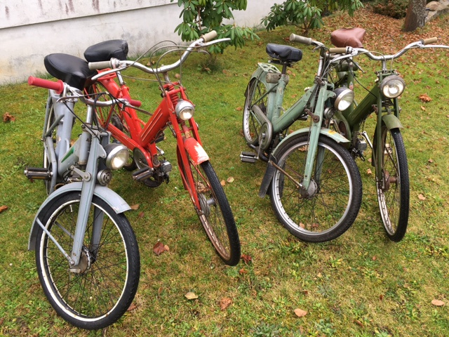 Motokola Mosquito - 4