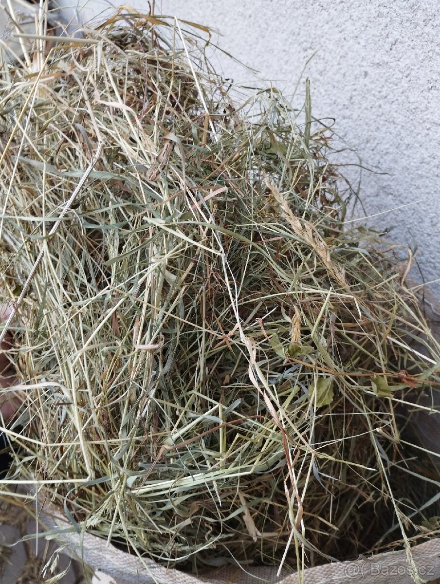 Seno, ručně sušené, pytlované - 4
