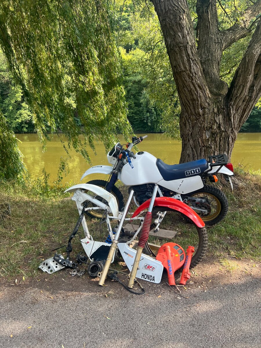 Honda XL 600