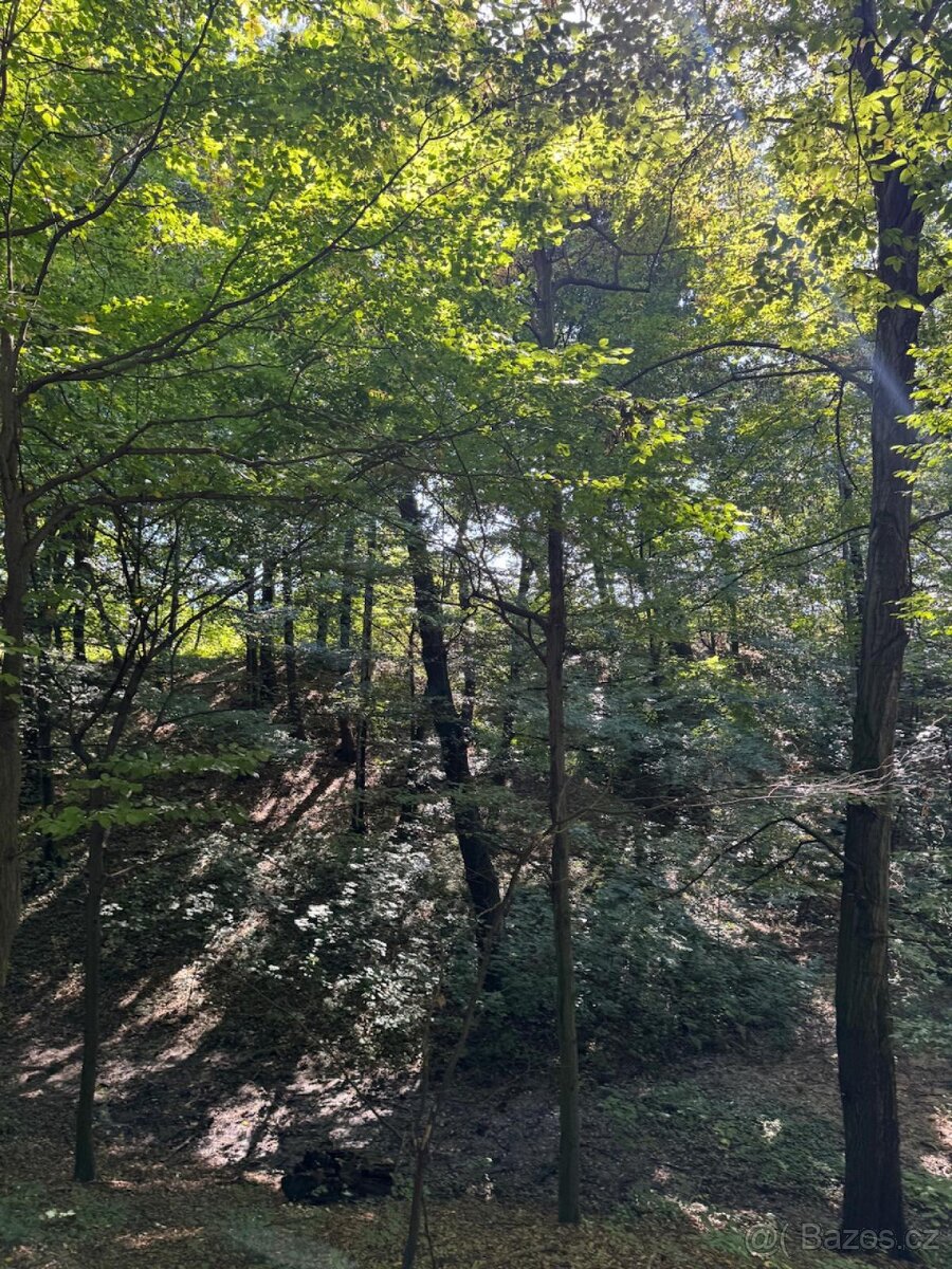 Prodej lesního pozemku v k.ú. Bartovice (2) - 4