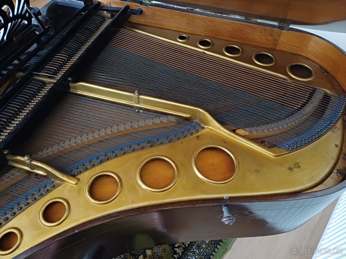 Piano ANT PETROF - 4