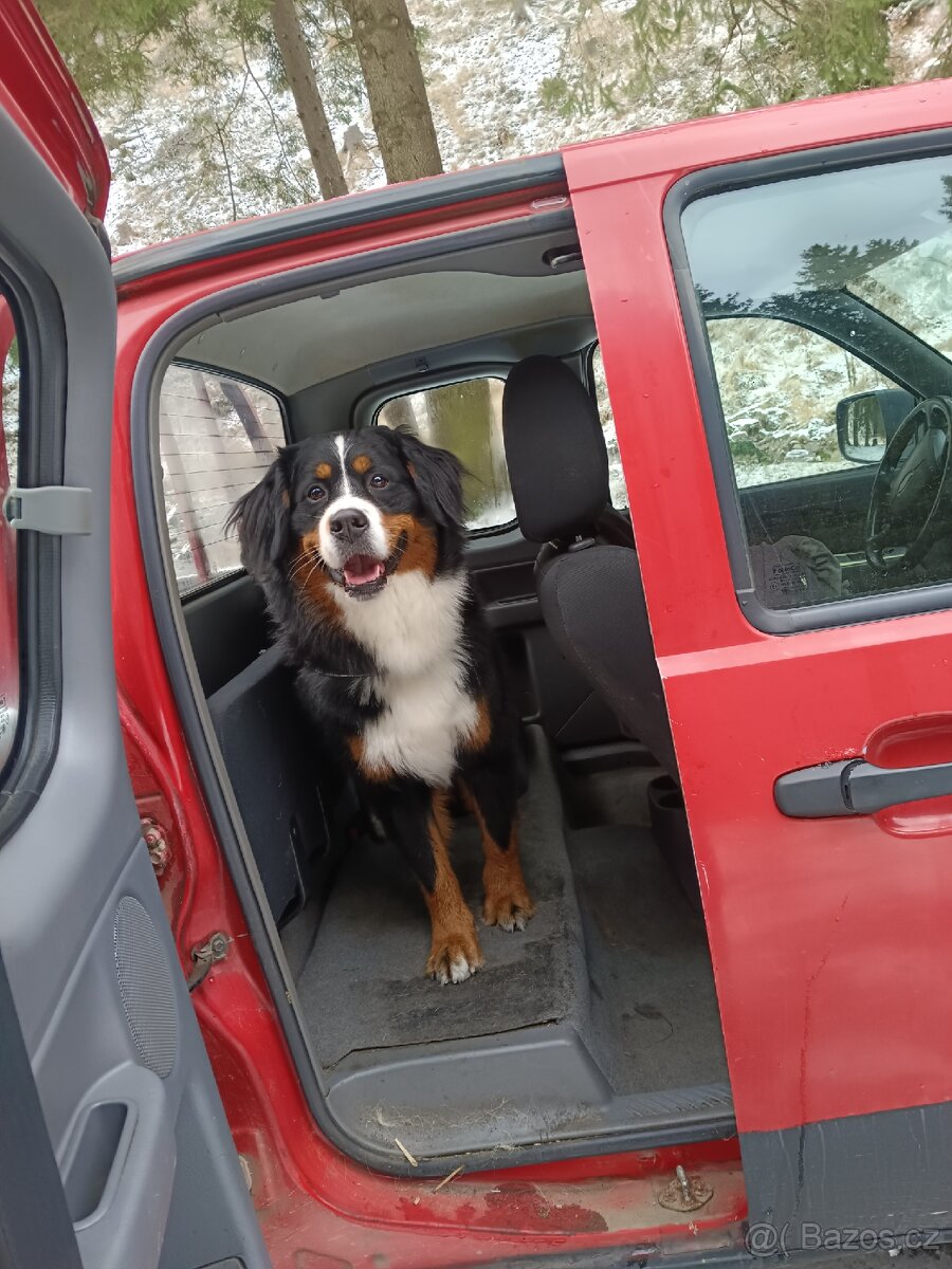 Ford Ranger 2.5diesel - 4