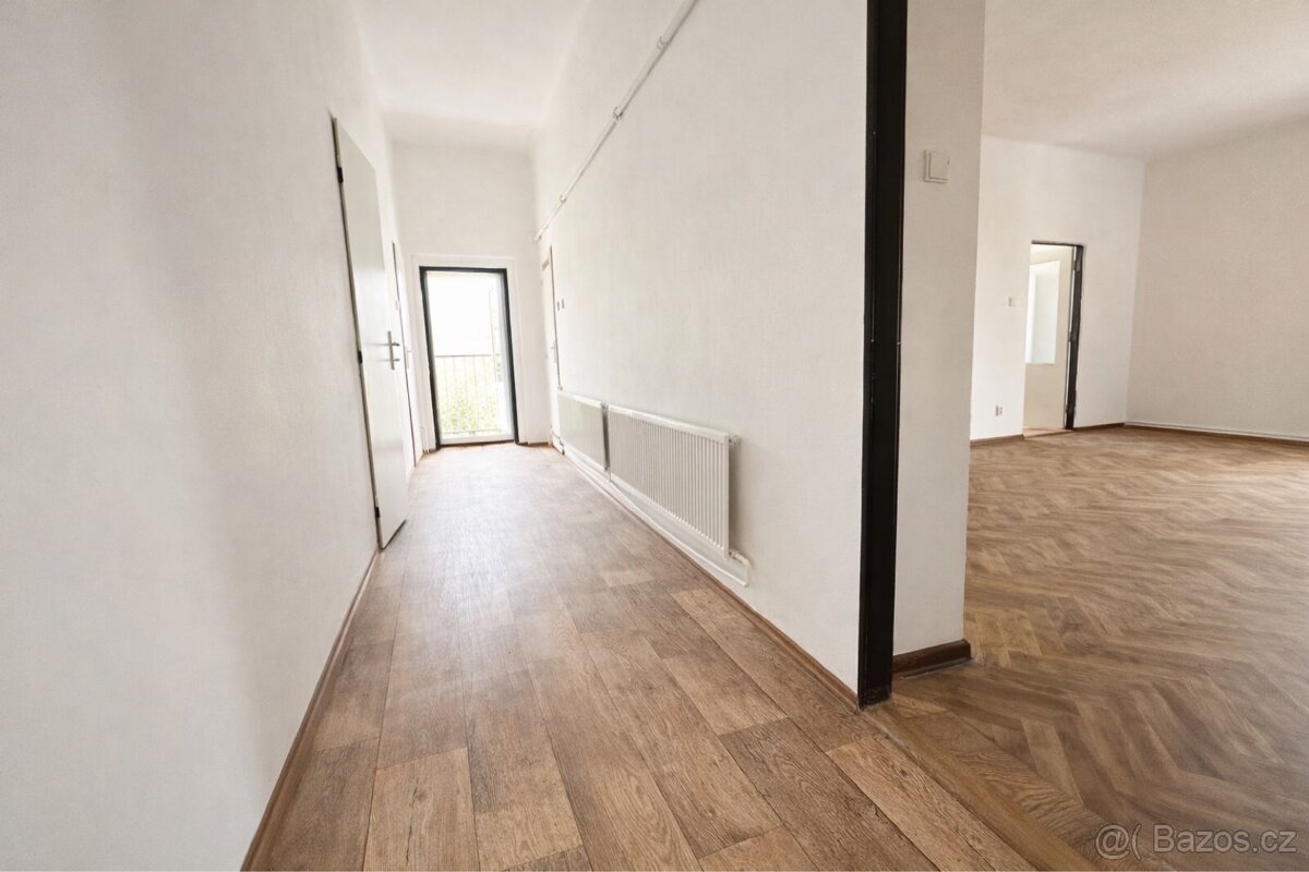 Pronájem bytu 1+1- Praha 3 - 4