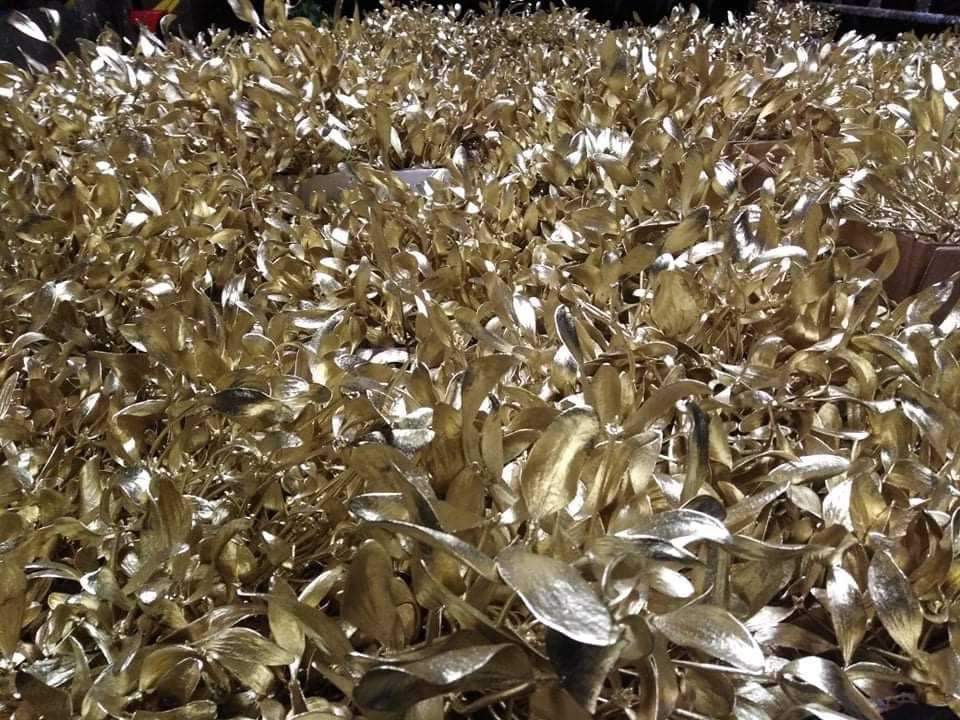 Prodej jmelí 2025🌿 - 4