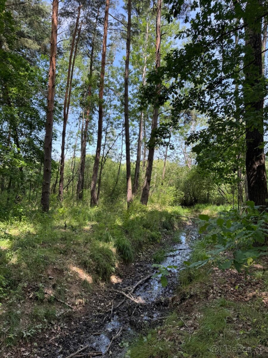 Prodám pozemky v katastrálním území Stará Hlína - 4