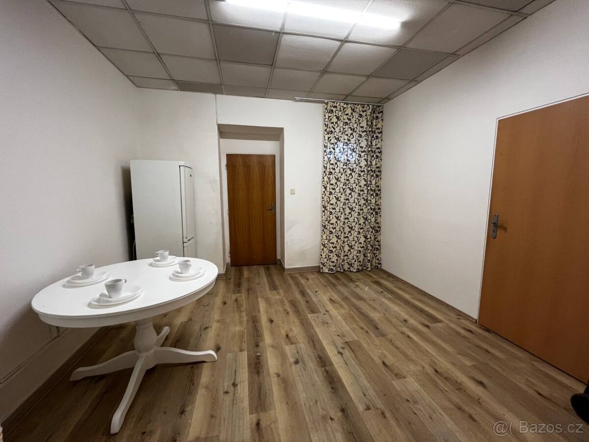 Pokoj pro pár v Žižkově - 4