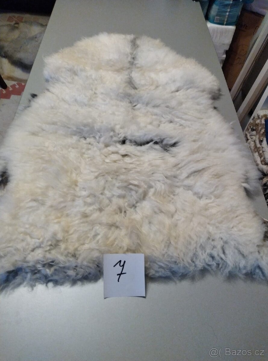 Prodám kožešiny z oveček - 4