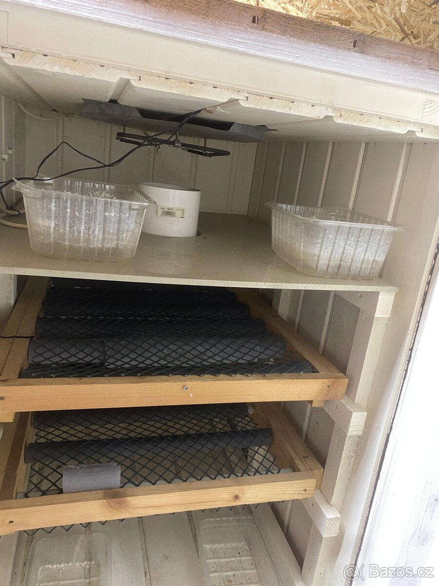 Líheň na mláďata z vajec - 4