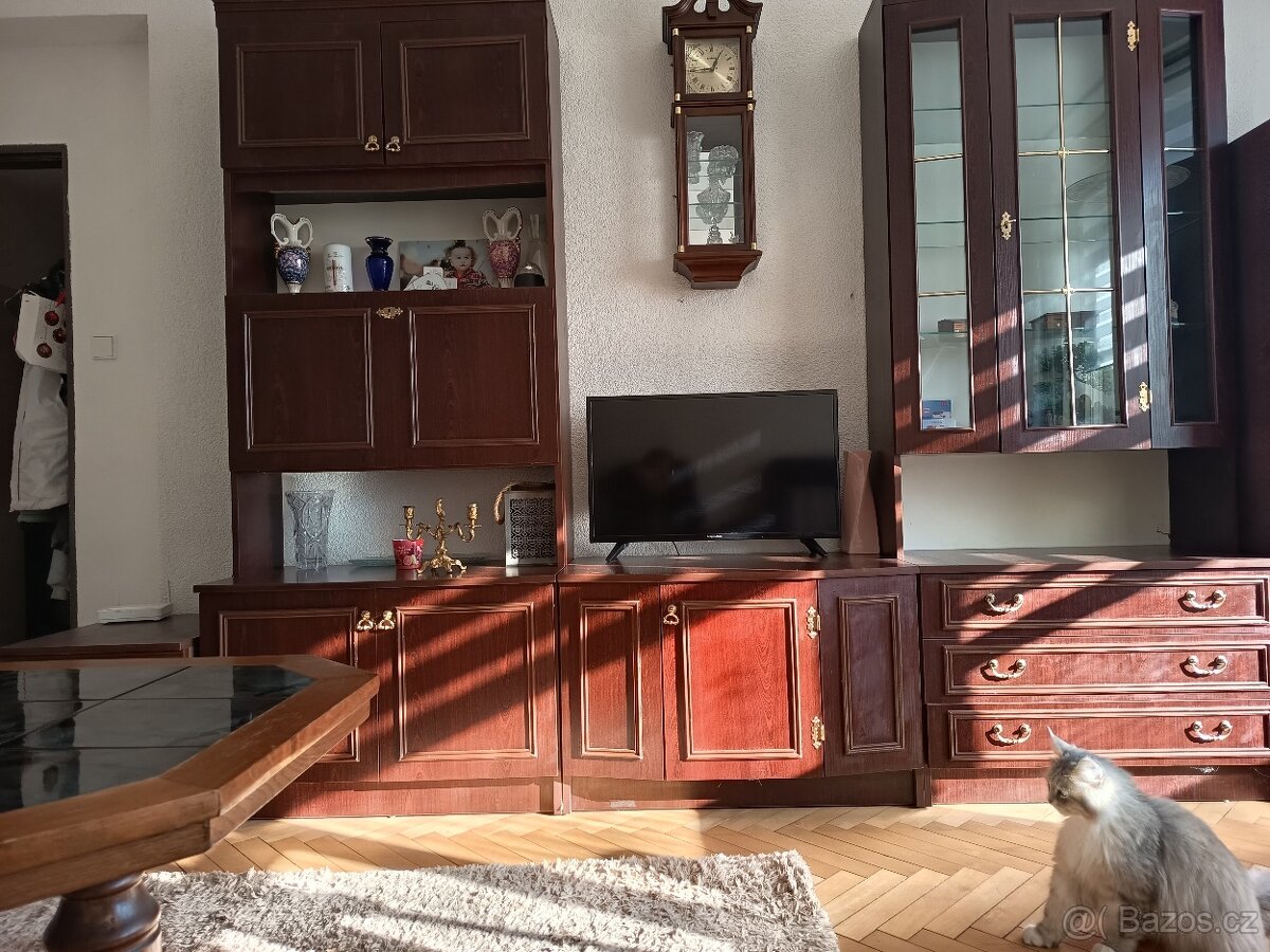 Starší obývací stěnu - 4