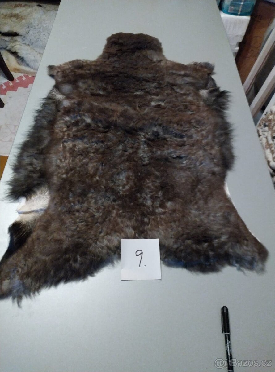 Prodám kožešiny z oveček - 4