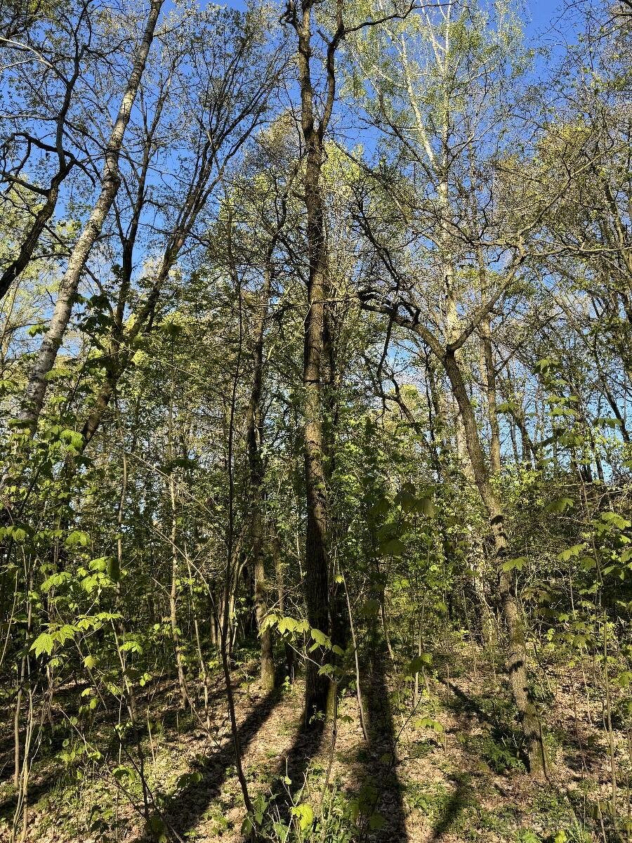 Prodáme pozemky v k.ú. Čížkov u Blovic - 4