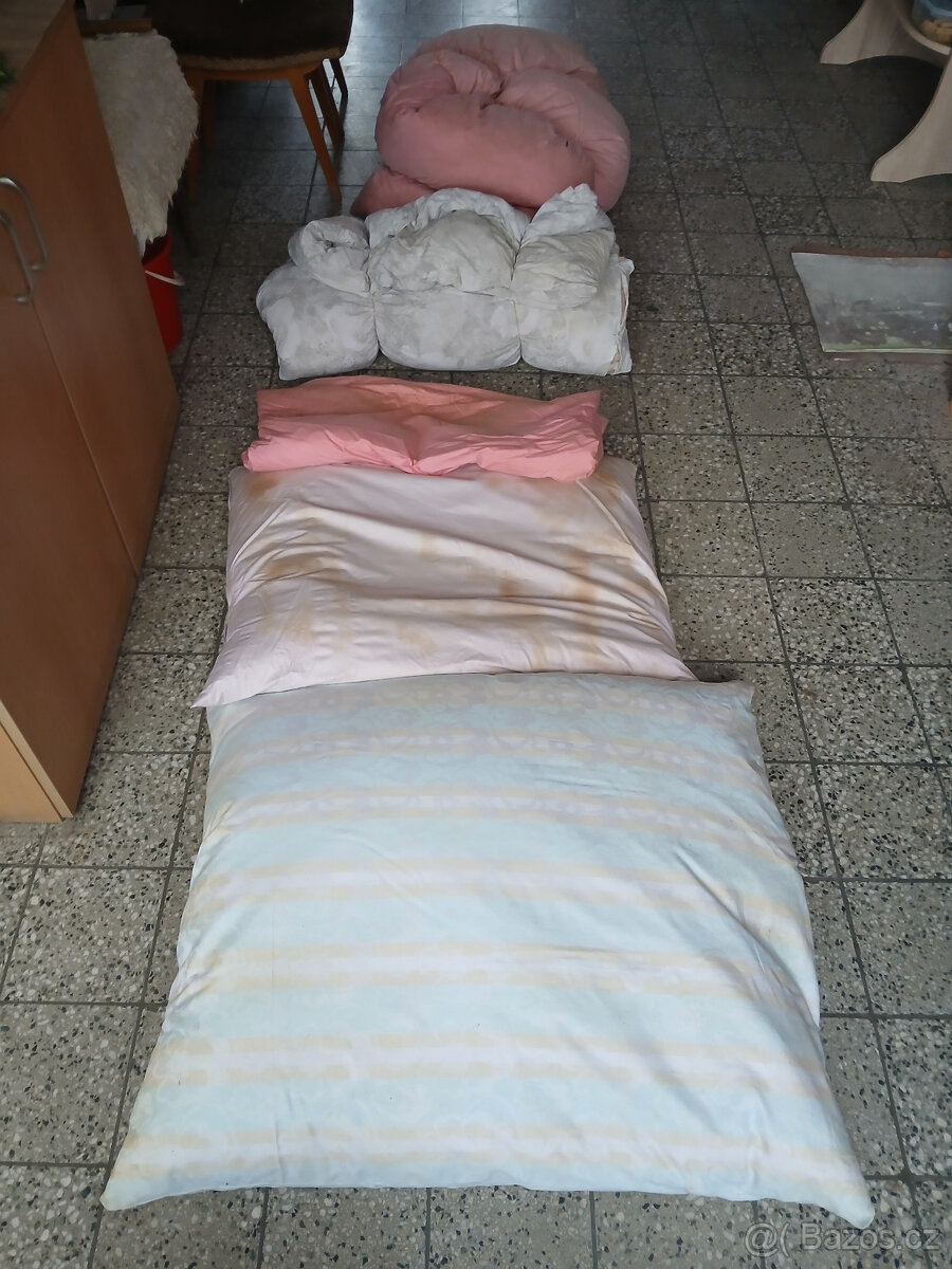 Zhlavce na peří - 4