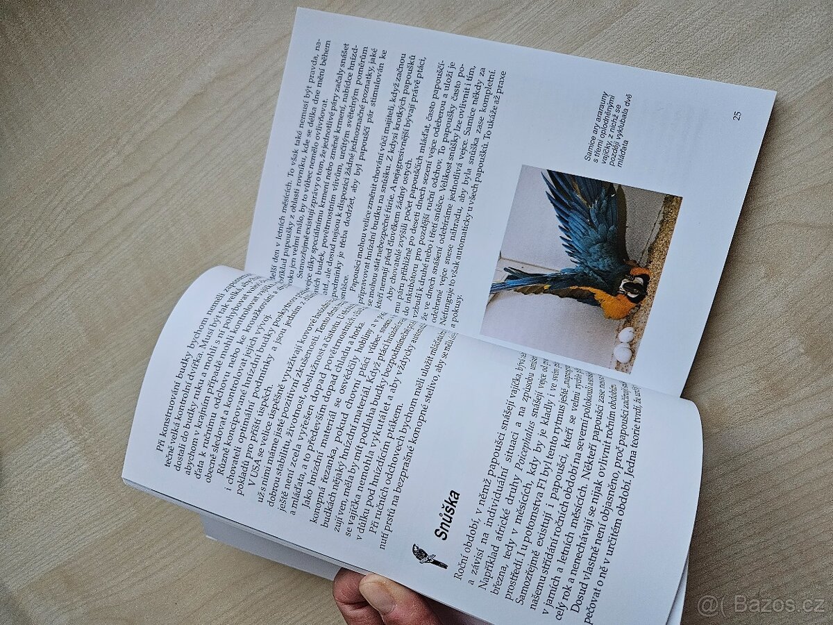 Papoušci umělý odchov mláďat nova - 4