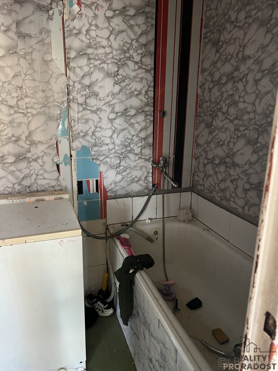 Prodej bytu 2+1/L, byt 2+1/L Ústí nad Labem - 4