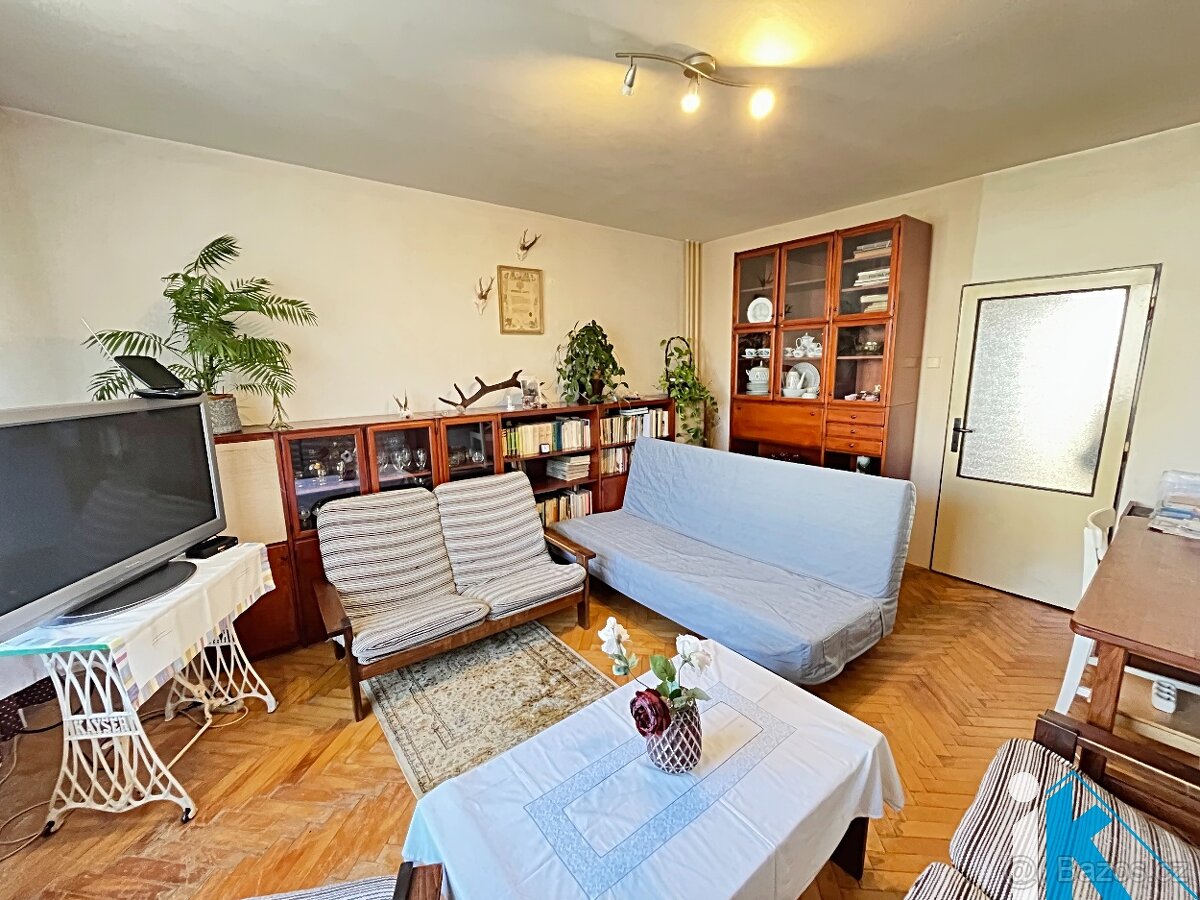 Bydleni v bytě, na vesnici u lesa. - 4