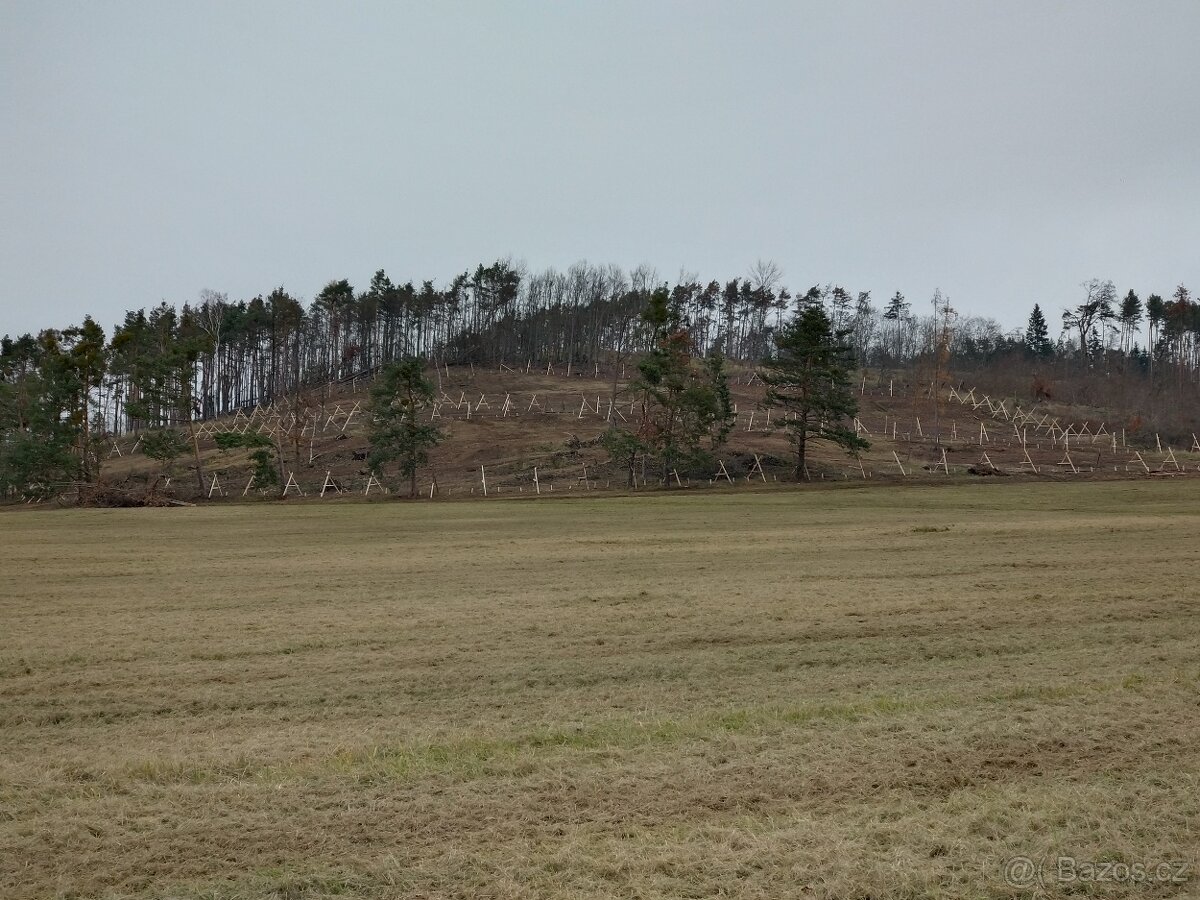 Stavba lesních oplocenek - 4