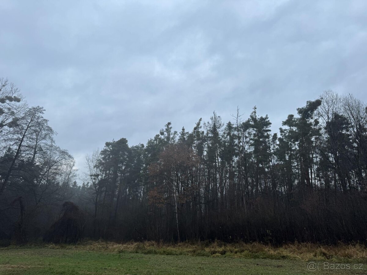 Prodám pozemky v k.ú. Břehy - 4