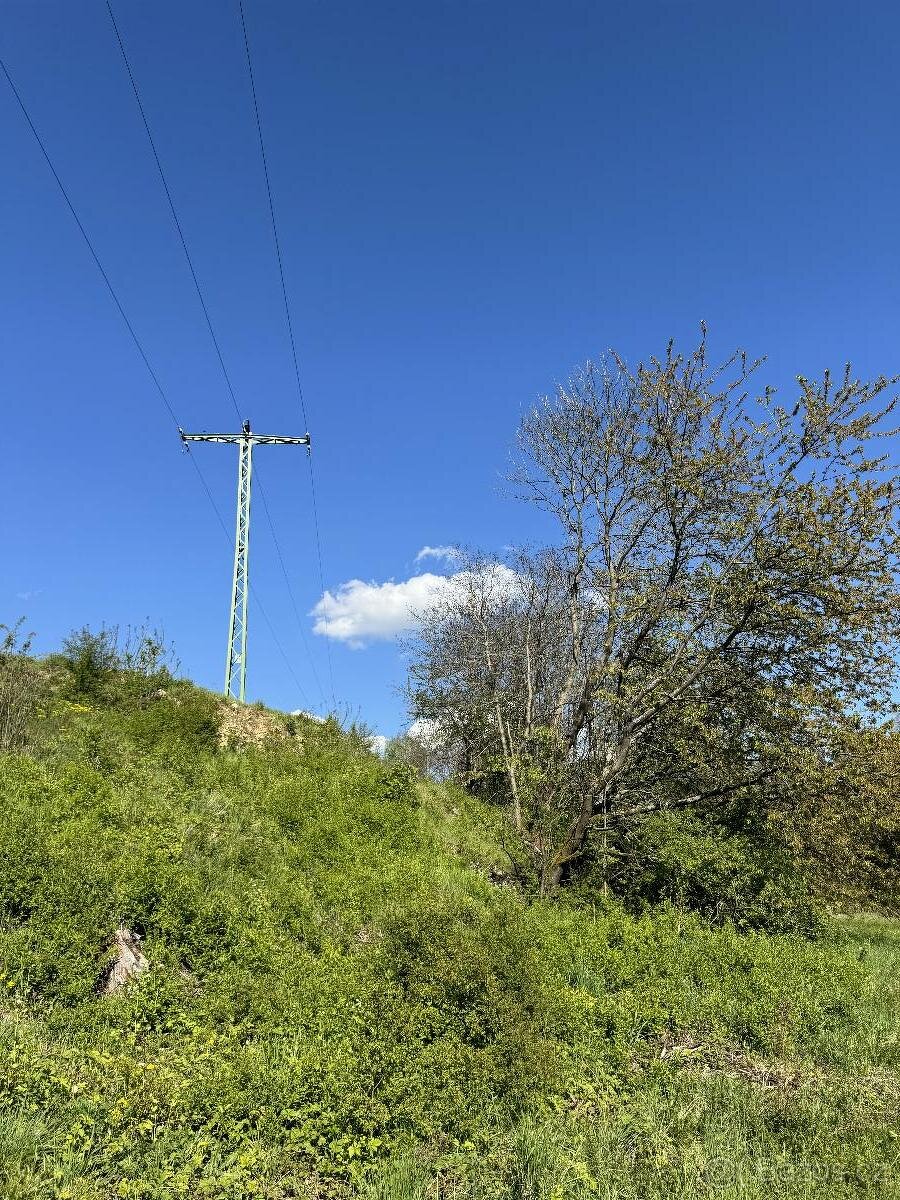 Prodám lesní pozemky v k.ú. Žďárek u Sychrova - 4