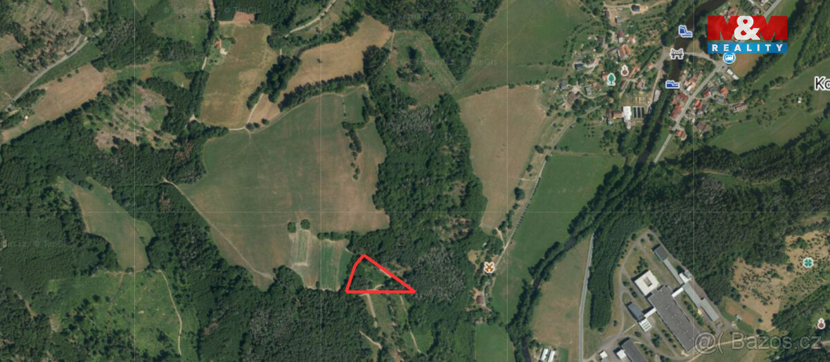 Prodej lesa v Koroužném - 4