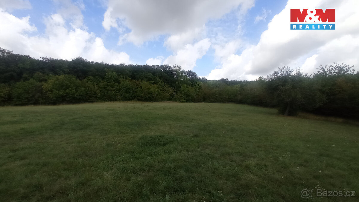 Prodej louky, 12373 m², Jenčice - 4