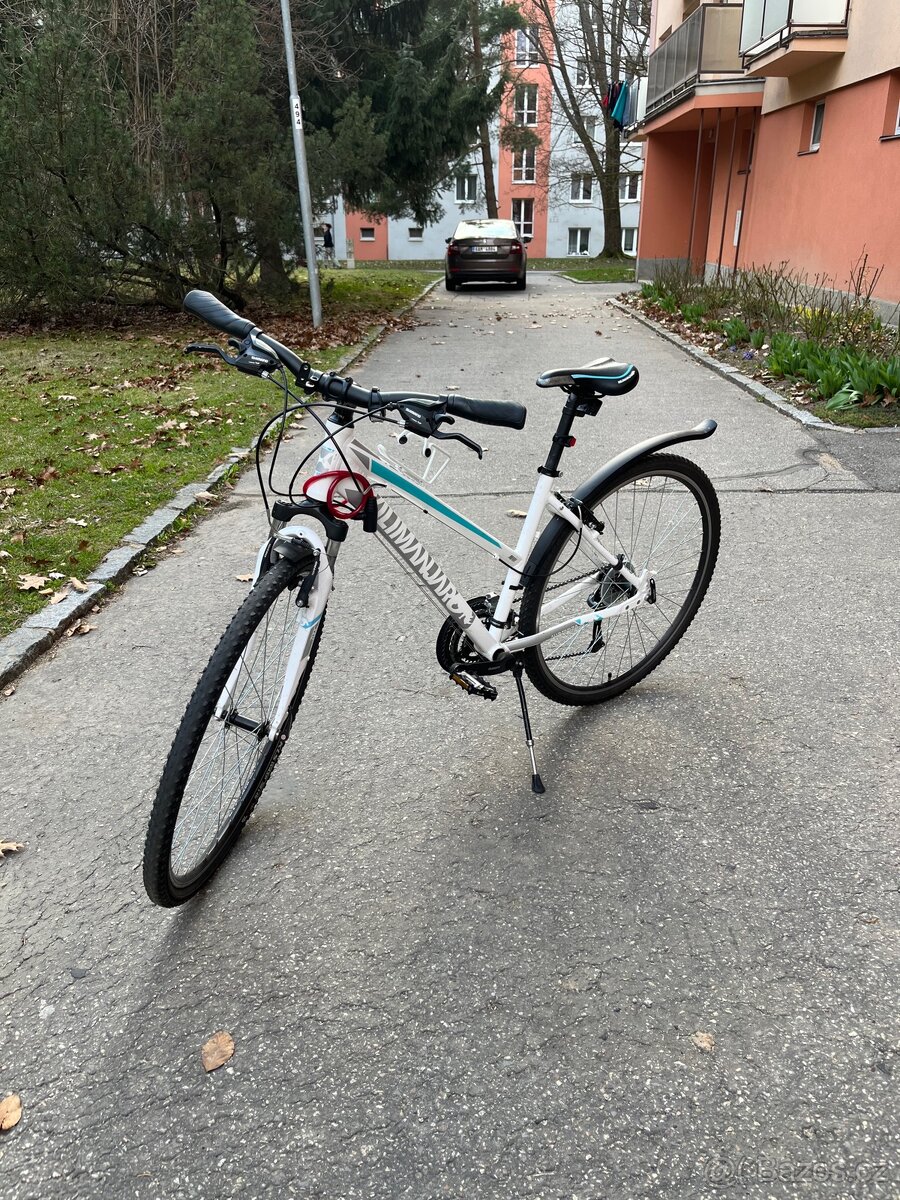 Kolo Kilimanjaro - 4