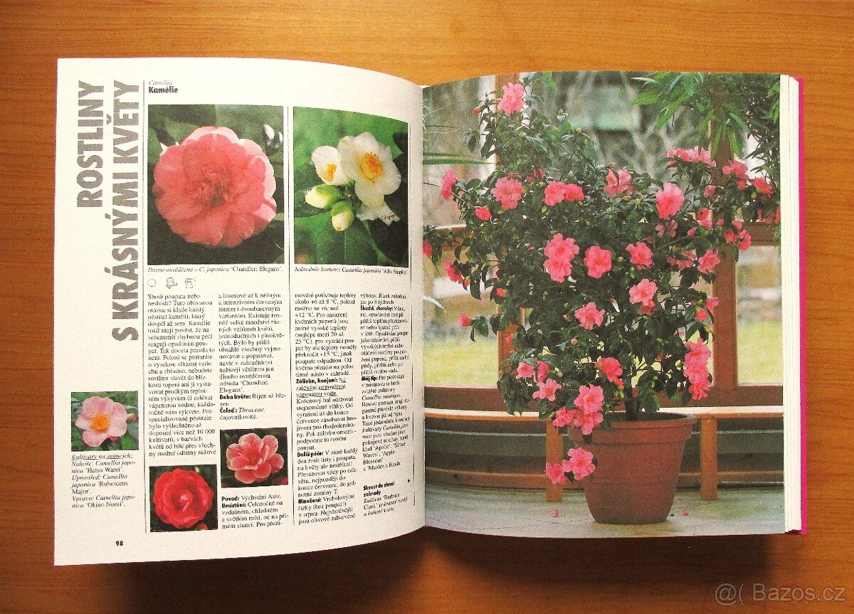 POKOJOVÉ ROSTLINY - Halina Heitz - 4