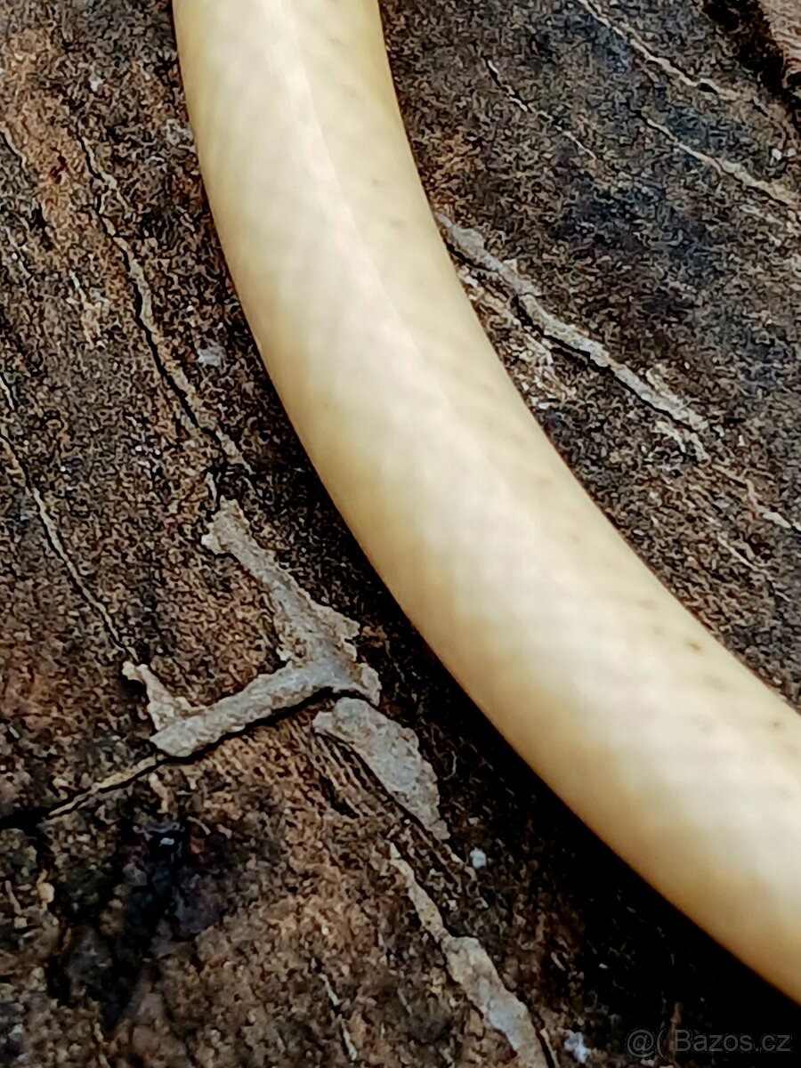 Náhrdelník slonovina + stříbro - 4