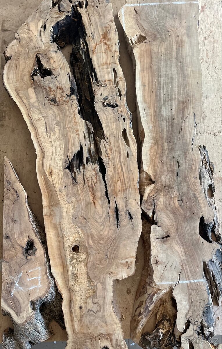 Fošny Olivovník - vysušené, TOP kvalita ze Španělska - 4