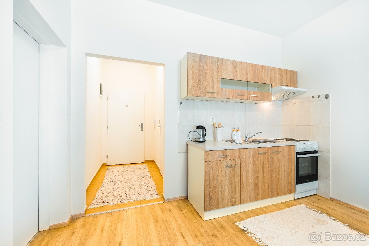 Pronájem bytu 1+kk v klidném prostředí - 4