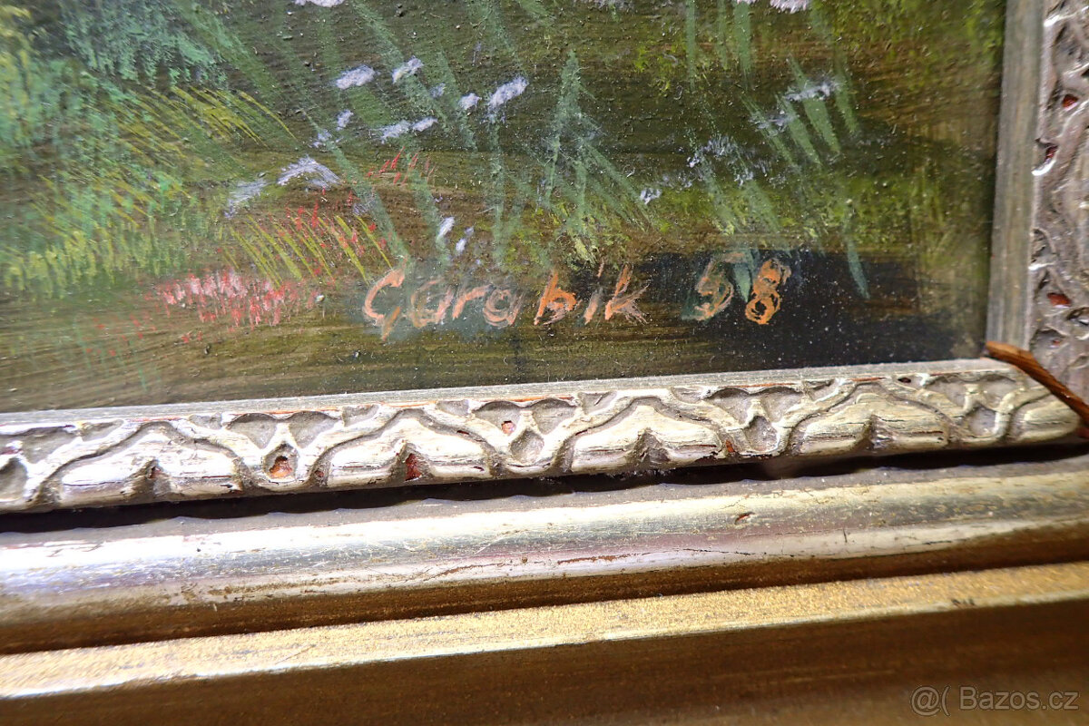 Carabík - Lesní cesta - 4