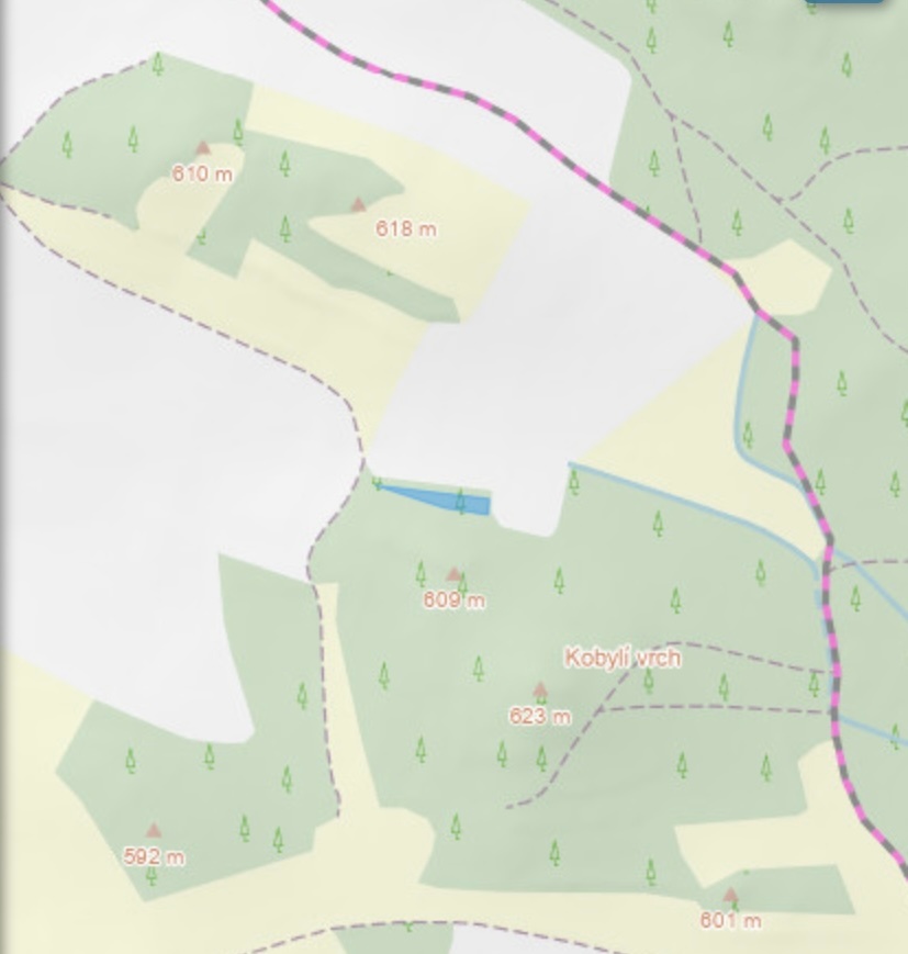 Prodám lesní pozemek Čepřovice - 4