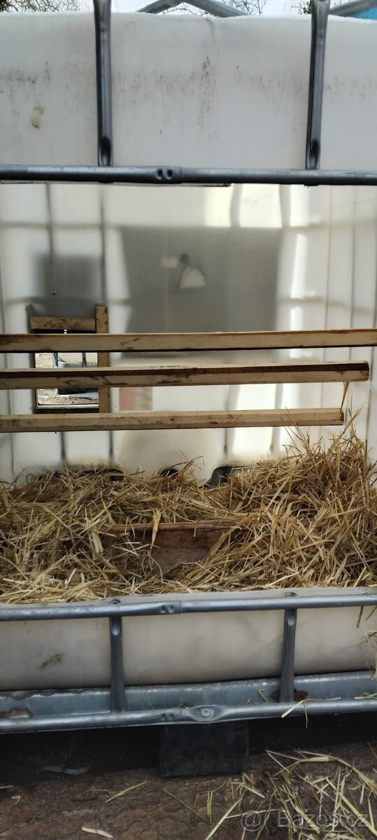 Kurnik z IBC nádrže - 4