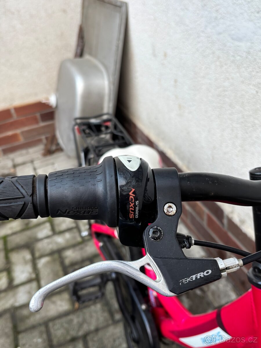 DĚTSKÉ KOLO PEGASUS 20” - 4