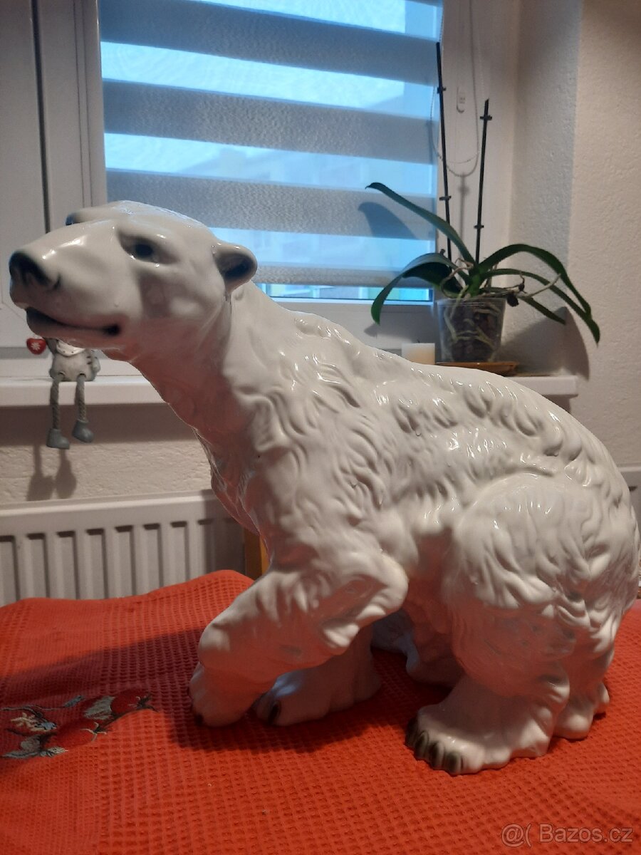 Velký lední medvěd - 4