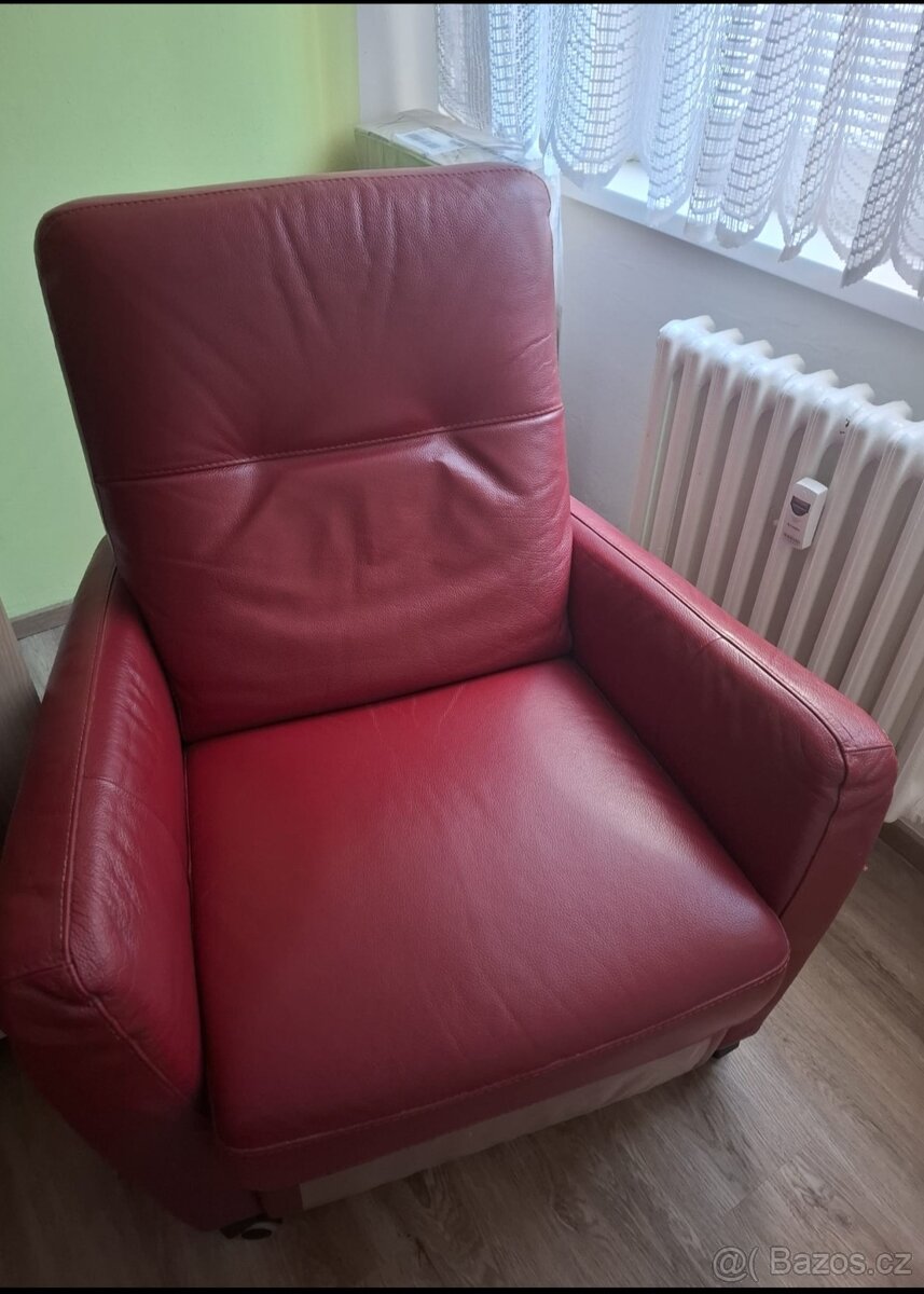 Křeslo z kůže - 4