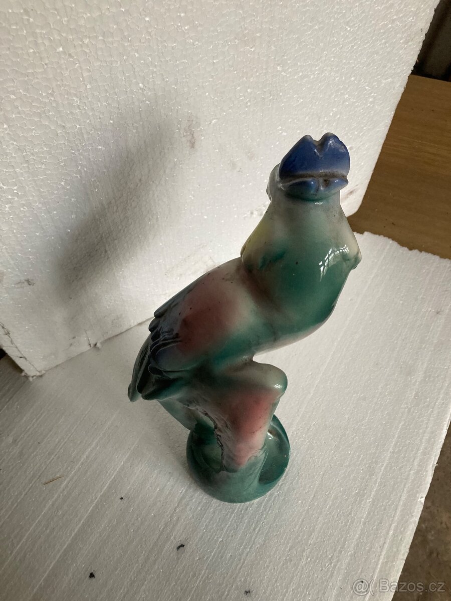 Prodám sošku papouška - 4