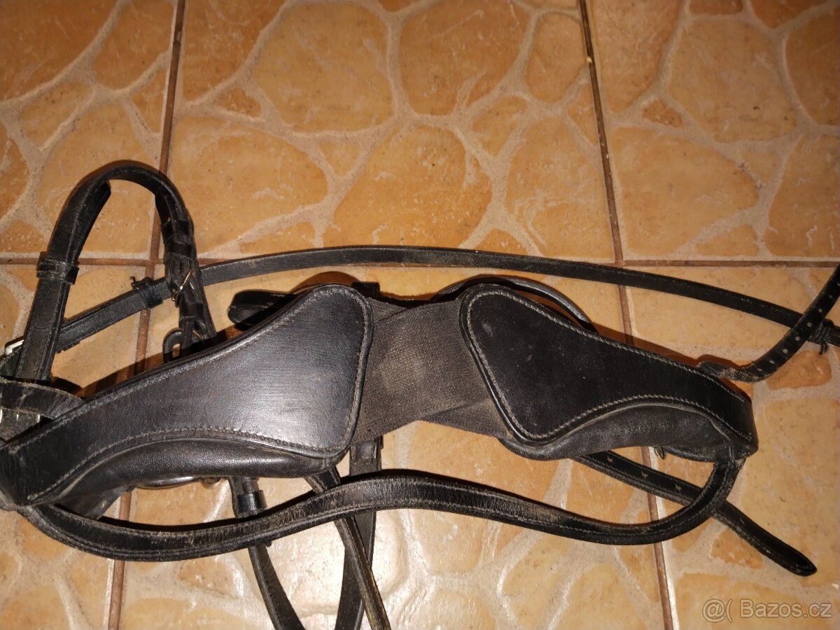 Uzdečka full - 4