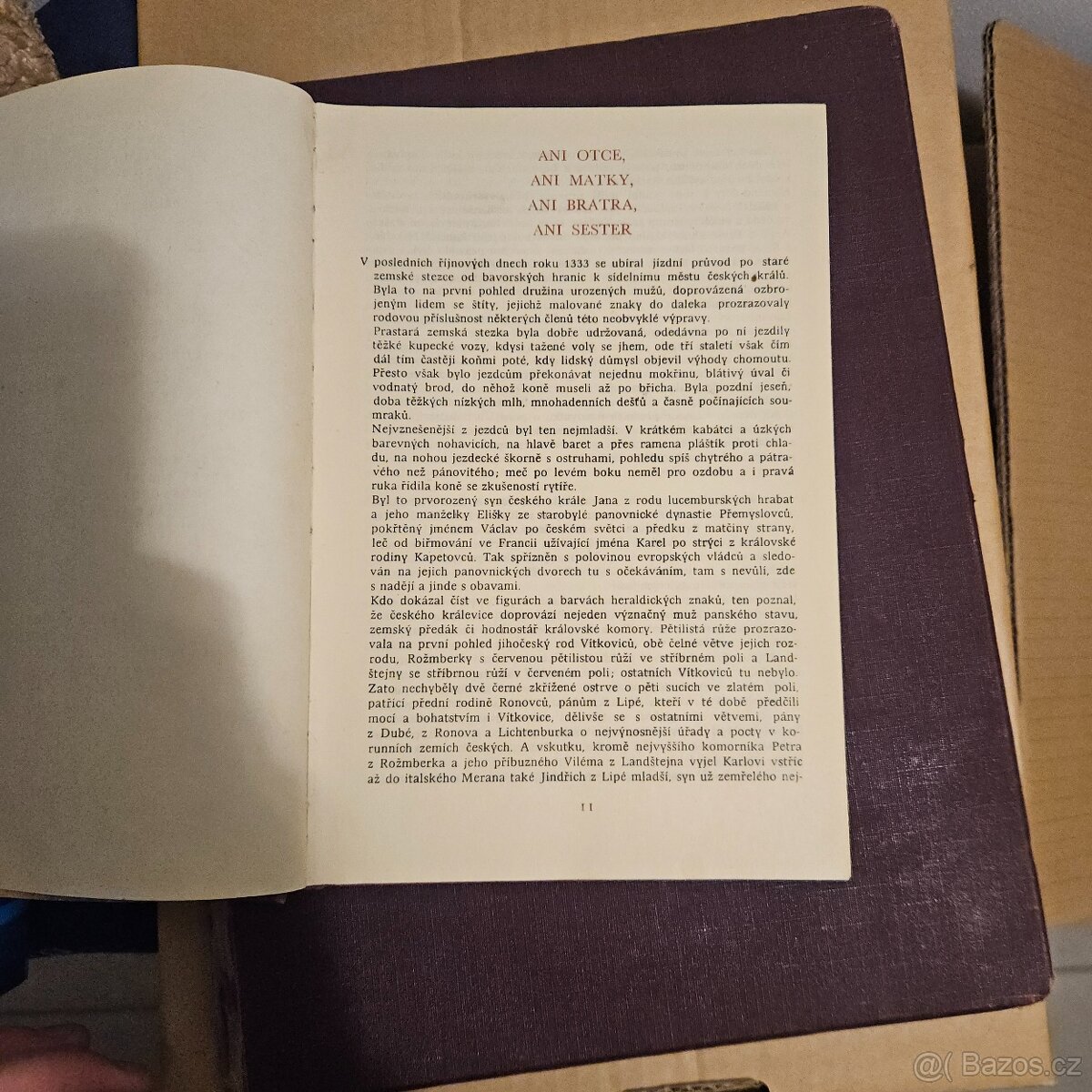 Alexej Pludek - Český Král Karel - 4