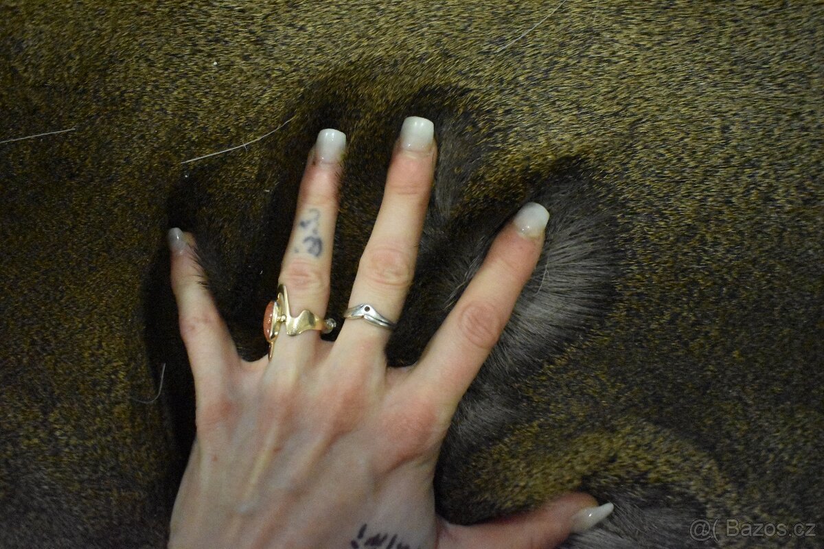 Kožešina Srna 1 - 4