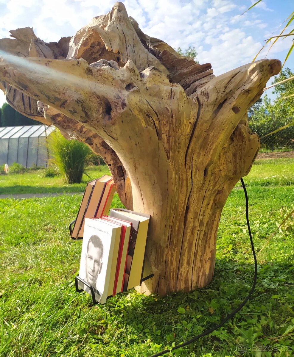 Sveťelní koreň - 4