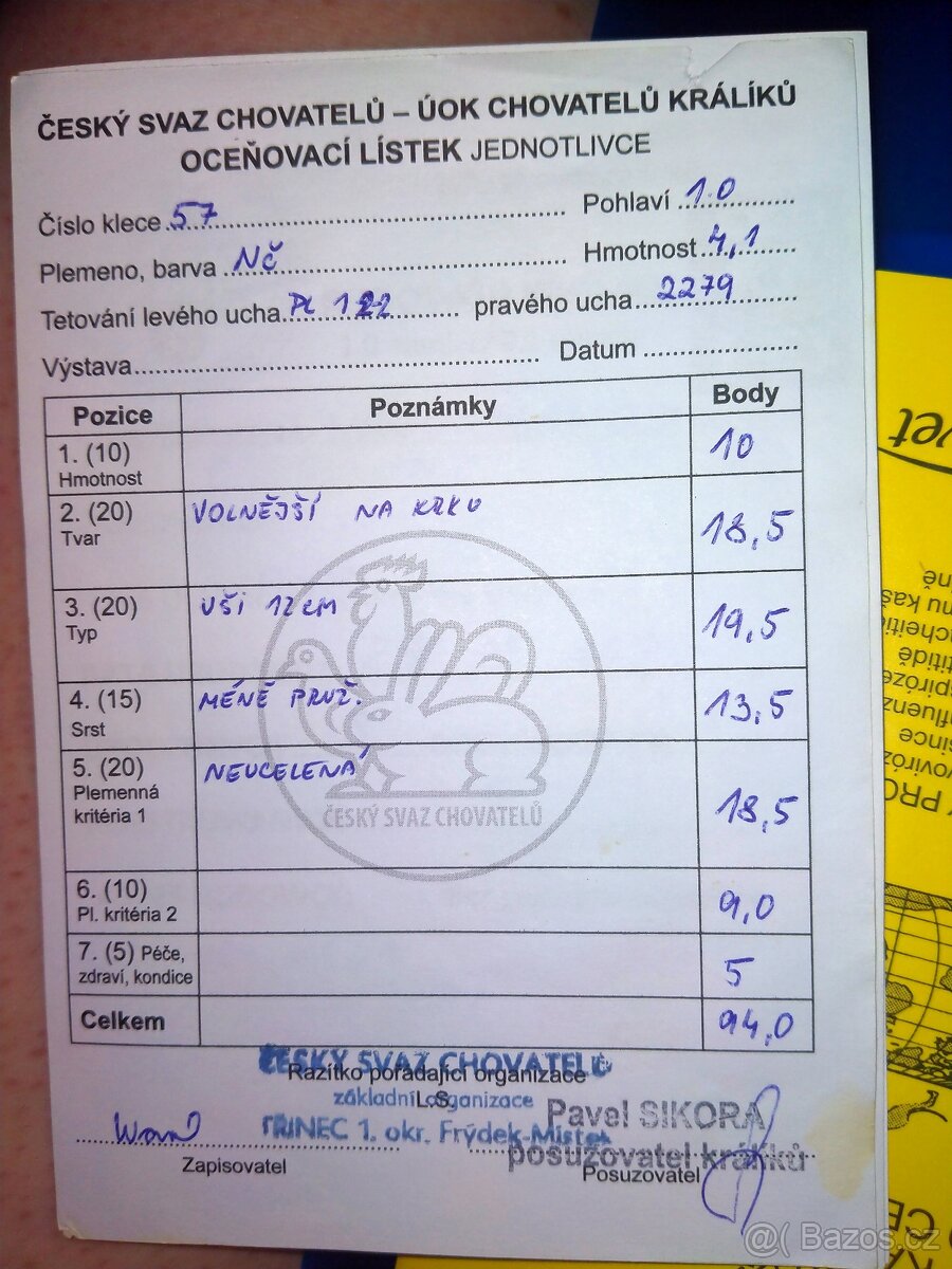 Novozélandský červený, samec - 4