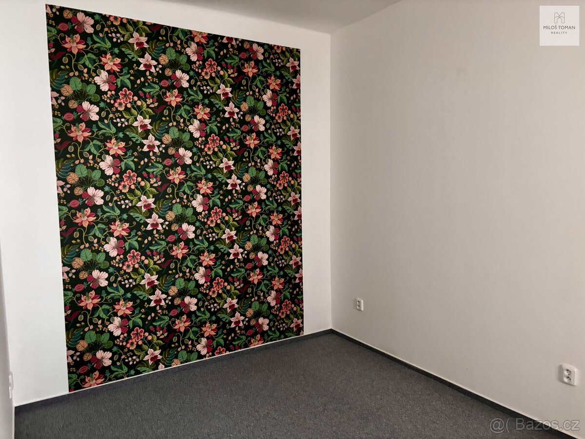 Pronájem, byt 1+1, 38 m, nám. Míru 65, Klatovy - Klatovy I, - 4