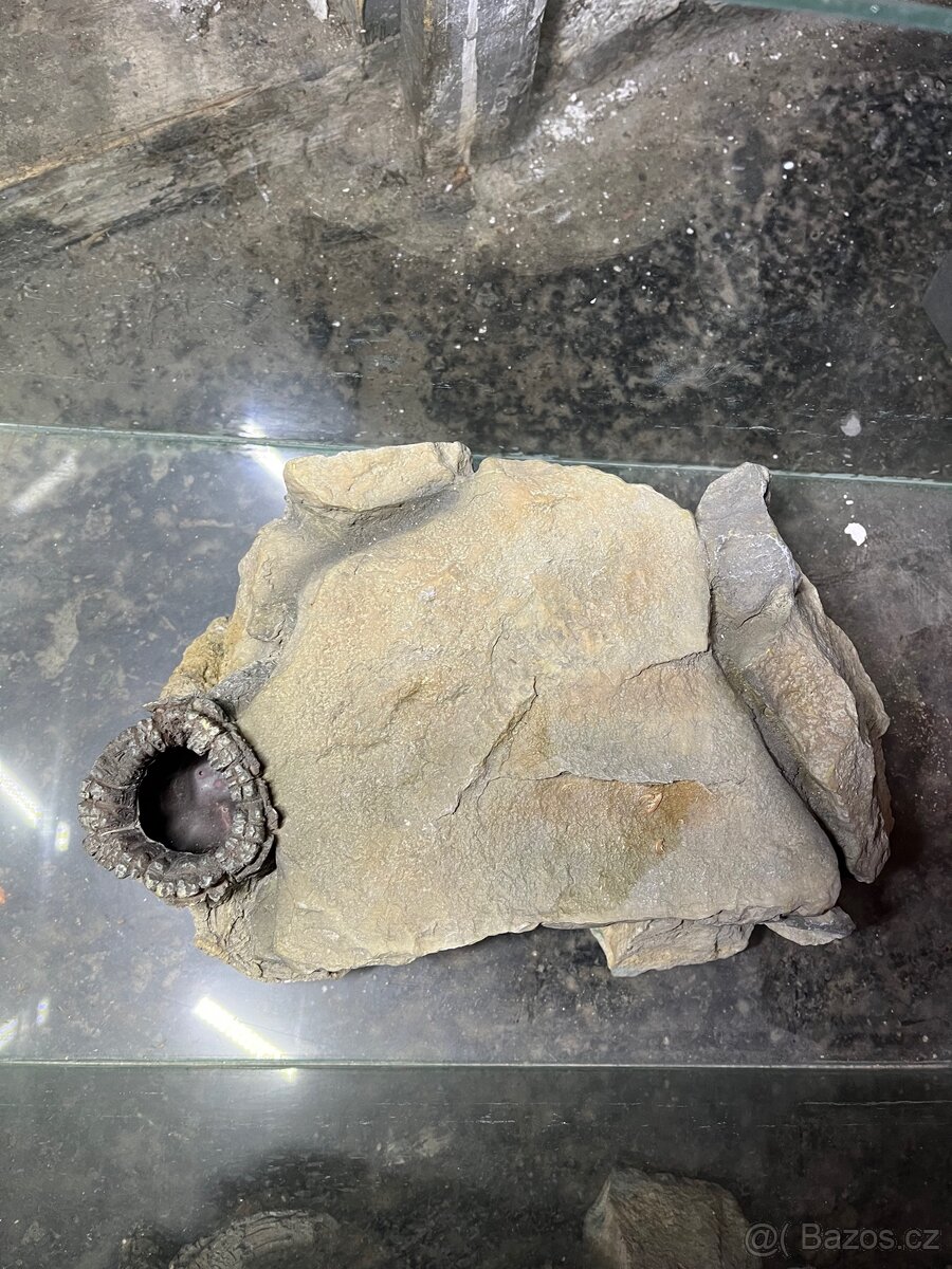 Skleněné akvárium - 4